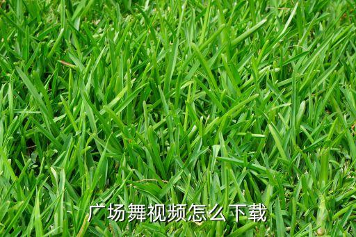 广场舞视频怎么下载