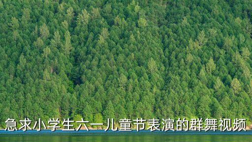 贵州小朋友跳舞视频完整版，急求小学生六一儿童节表演的群舞视频