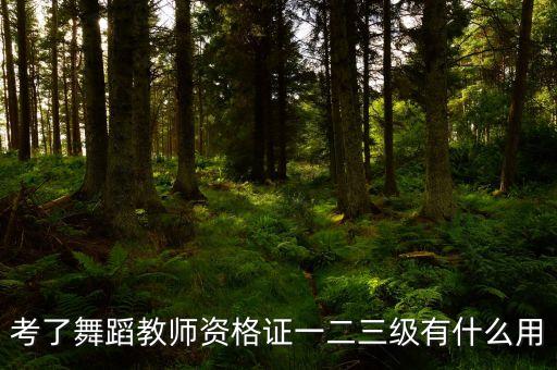 中国舞考级教师资格证含金量高吗，考了舞蹈教师资格证一二三级有什么用