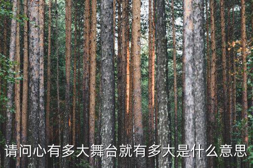 请问心有多大舞台就有多大是什么意思