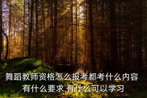 舞蹈教师资格怎么报考都考什么内容 有什么要求 有什么可以学习