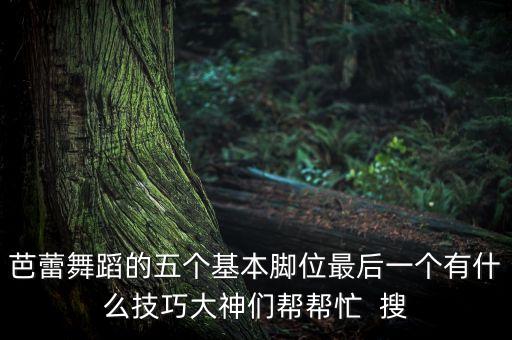 芭蕾舞蹈的五个基本脚位最后一个有什么技巧大神们帮帮忙 搜