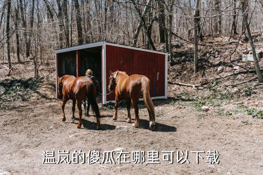 温岚的傻瓜在哪里可以下载