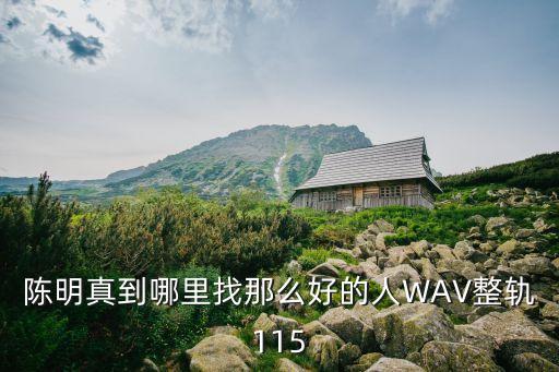 陈明真到哪里找那么好的人WAV整轨115