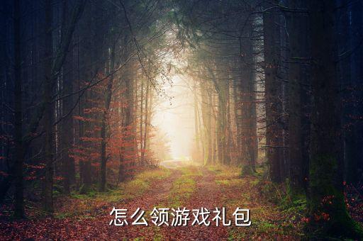 怎么领游戏礼包