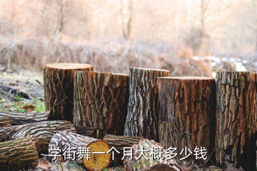 学街舞一个月大概多少钱
