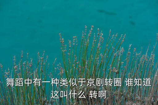 舞蹈中有一种类似于京剧转圈 谁知道这叫什么 转啊
