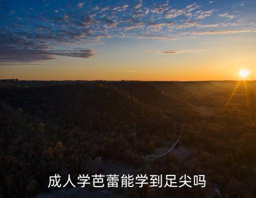 成人学芭蕾能学到足尖吗