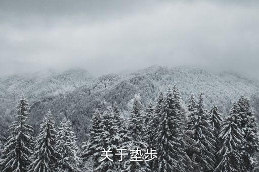关于垫歩