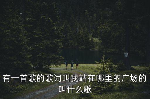 什么什么广场的歌曲，有一首叫什么的广场的 歌 说明一下不是菜一临的垃圾歌 求知道的说下