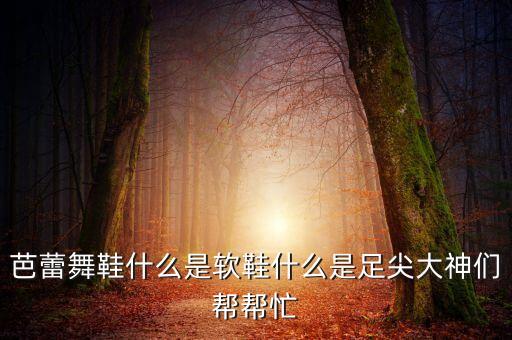 芭蕾舞鞋什么是软鞋什么是足尖大神们帮帮忙