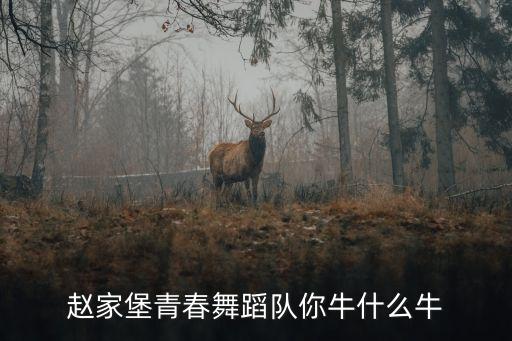 赵家堡青春舞蹈队你牛什么牛