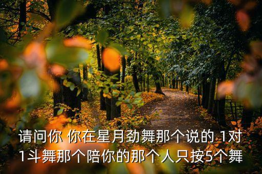 请问你 你在星月劲舞那个说的 1对1斗舞那个陪你的那个人只按5个舞