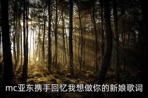 mc亚东携手回忆我想做你的新娘歌词