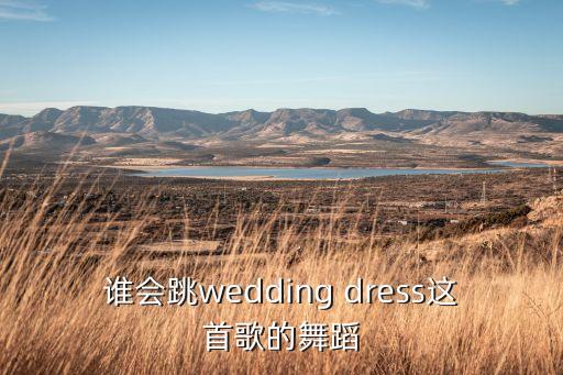 谁会跳wedding dress这首歌的舞蹈
