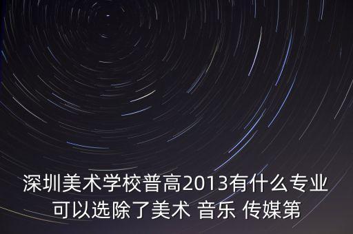 深圳美术学校普高2013有什么专业可以选除了美术 音乐 传媒第