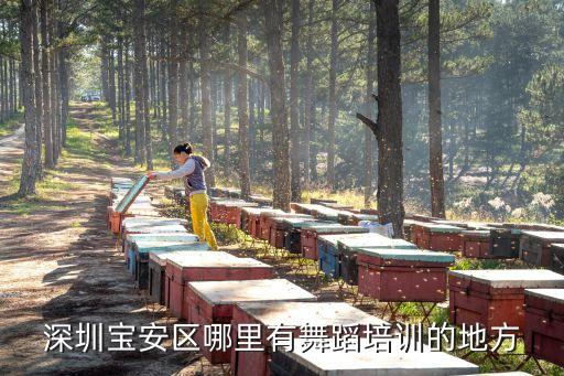 深圳宝安区哪里有舞蹈培训的地方