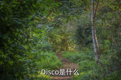 Disco是什么
