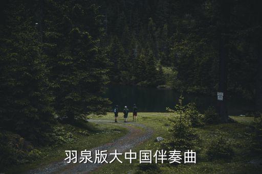 羽泉版大中国伴奏曲