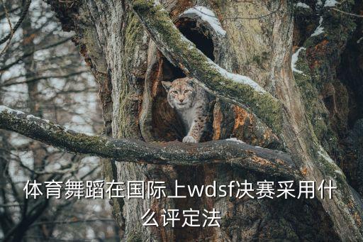 体育舞蹈联合会竞赛如何评分，体育舞蹈在国际上wdsf决赛采用什么评定法