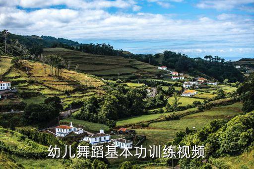 少儿舞蹈基本功视频完整版，幼儿舞蹈基本功训练视频