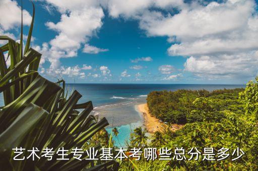 艺术考生专业基本考哪些总分是多少