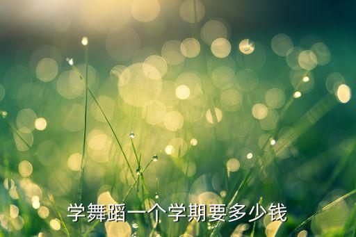 学舞蹈一个学期要多少钱
