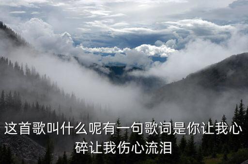 这首歌叫什么呢有一句歌词是你让我心碎让我伤心流泪