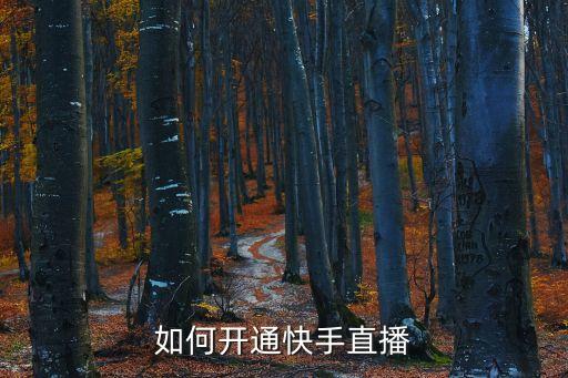 如何开通快手直播