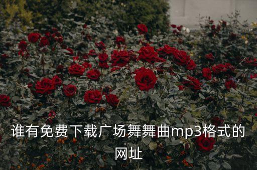 谁有免费下载广场舞舞曲mp3格式的网址