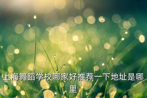 上海舞蹈学校哪家好推荐一下地址是哪里