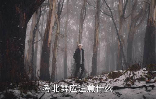 考北舞应注意什么