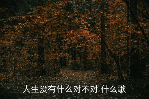 人生无什么的歌曲下载，人生没有什么对不对 什么歌