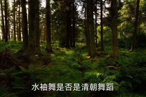清朝有什么舞蹈，水袖舞是否是清朝舞蹈