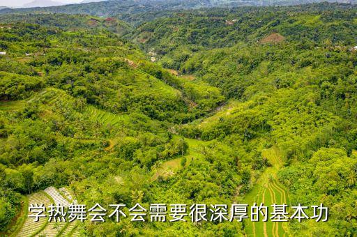 学热舞会不会需要很深厚的基本功
