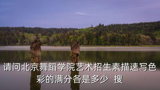 请问北京舞蹈学院艺术招生素描速写色彩的满分各是多少  搜