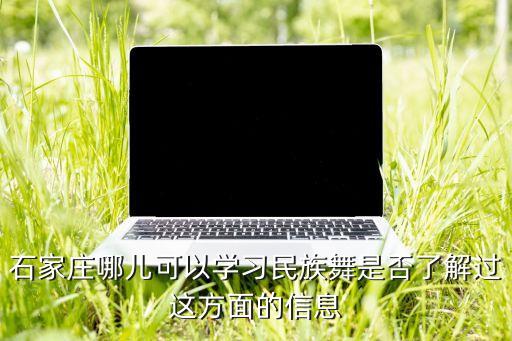 石家庄哪儿可以学习民族舞是否了解过这方面的信息