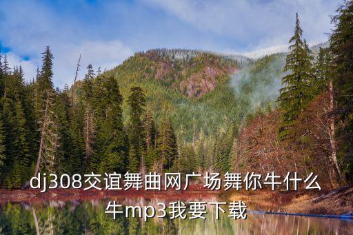 dj308交谊舞曲网广场舞你牛什么牛mp3我要下载