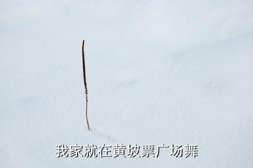 我家在哪里广场舞，大连哪里有夜市哪里有跳广场舞的