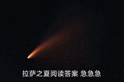 拉萨之夏阅读答案 急急急