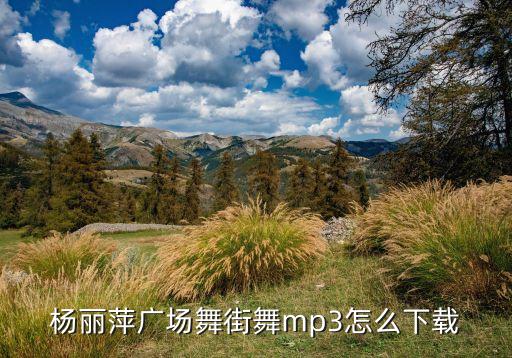 杨丽萍广场舞街舞mp3怎么下载