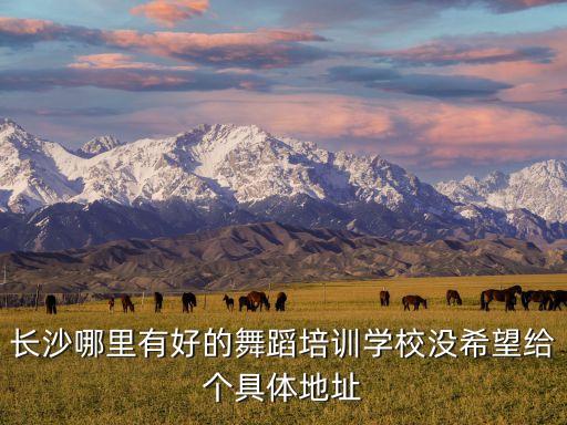 长沙哪里有好的舞蹈培训学校没希望给个具体地址