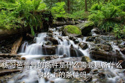 练习芭蕾舞的条件是什么需要具备什么身体上的条件吗