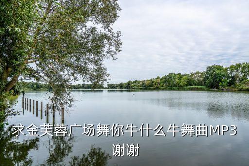 你牛什么牛广场舞 mp3下载，ok下载舞曲你牛什么牛