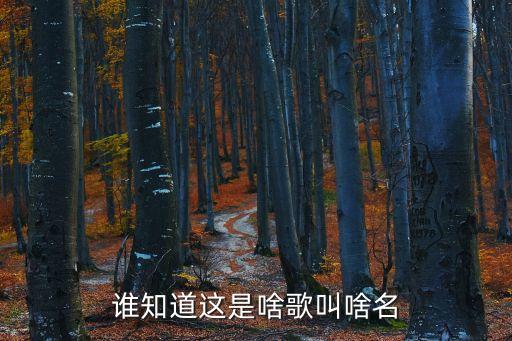 谁知道这是啥歌叫啥名