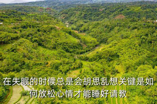 在失眠的时候总是会胡思乱想关键是如何放松心情才能睡好请教