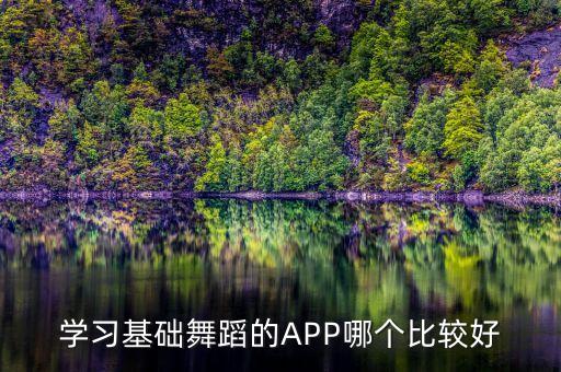 学习基础舞蹈的APP哪个比较好