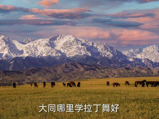 大同哪里学拉丁舞好