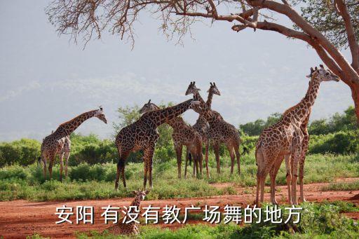 安阳 有没有教广场舞的地方