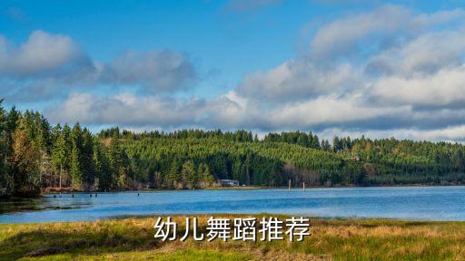 什么舞好看又好学儿童，十岁以下简单的儿童舞蹈都有哪些